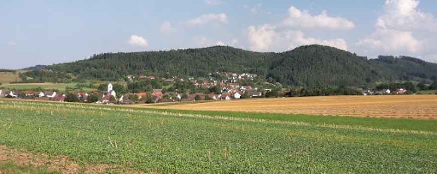 Steinkreuz Empfingen