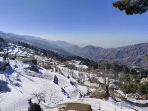 Shangla Hill Top