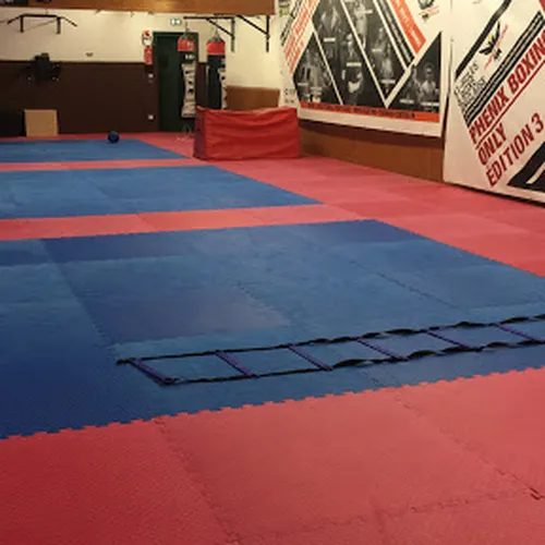 Gymnasium Burgundians