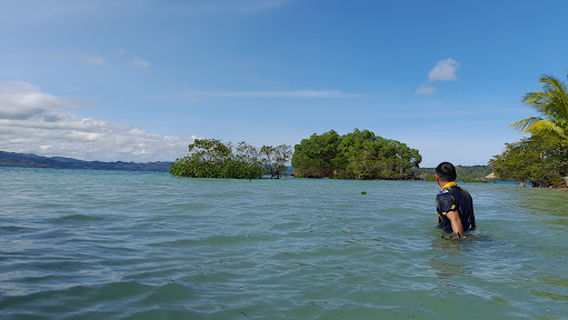 Objek wisata terumbu karang Adhyaksa dan hutan bakau Adhyaksa