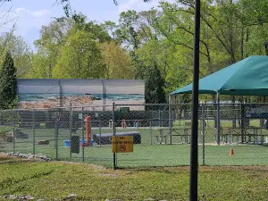 Beneful Dream Dog Park