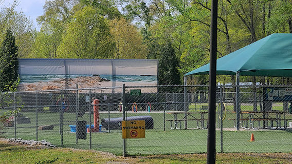 Beneful Dream Dog Park