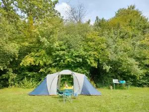 Campingplatz Waldsee
