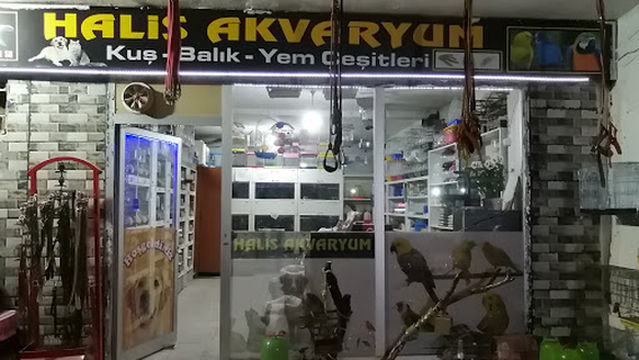 Halis Akvaryum