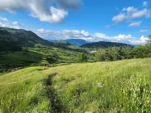 Riserva Naturale Monte Navegna E Monte Cervia