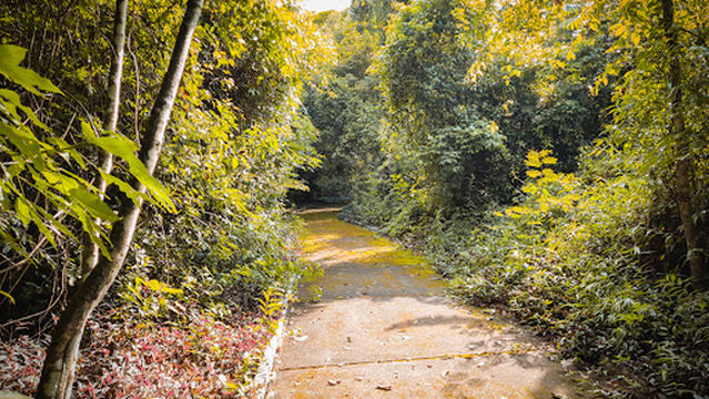 Bosque Municipal De Paranavaí