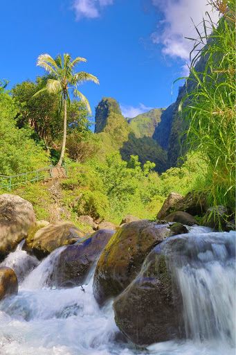 ʻIao Needle Lookout Trail and Ethnobotanical Loop