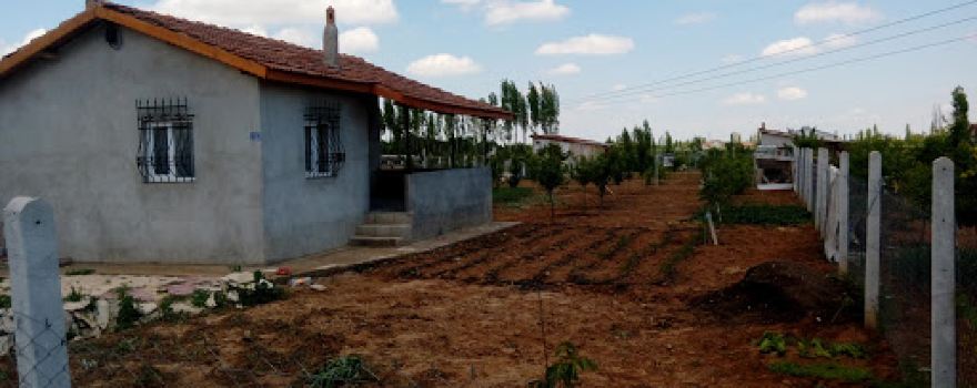 Ali AKÇA BAHÇE