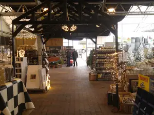 Intratuin Drachten