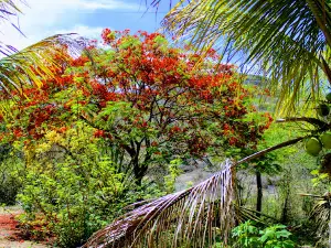 Museu do Sossego - Acervo Tralha Boa
