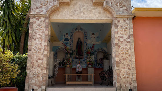 Eagles and Jaguars Platform