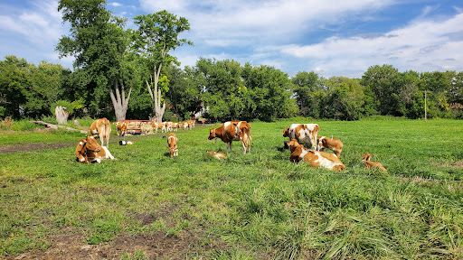 All Grass Farms LLC