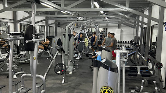 Old Harbour Gym