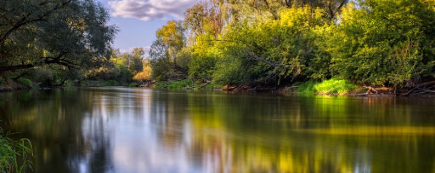 Bug River