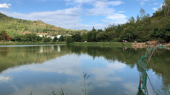 Vĩnh Phương