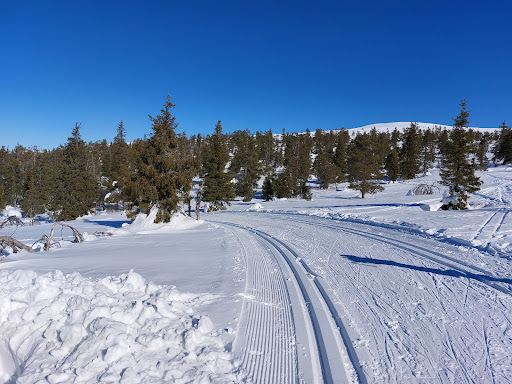 Tahkokuru Lappish Hut