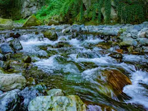 ÇAMAŞ kanyon