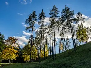 Kačėniškės piliakalnis