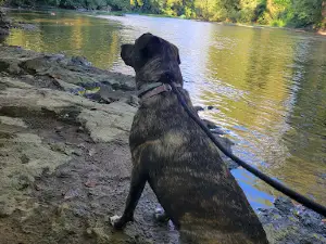 St. Paul Park