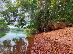 Oyapok River