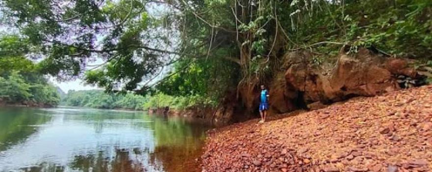 Oyapok River