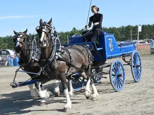 Fryeburg Fair