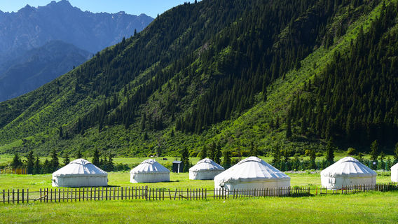 wu si tu lv you jing qu