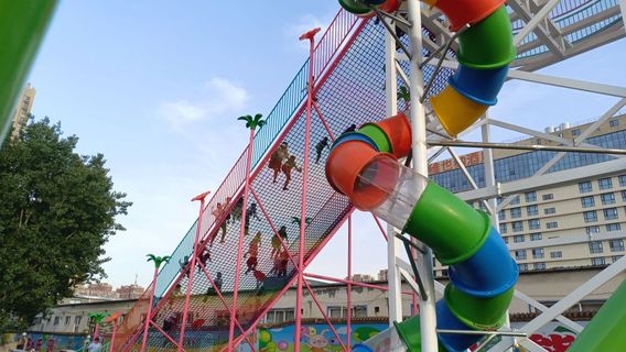 Raccoon Family Fun Park