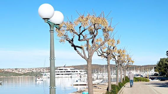 Park Punat