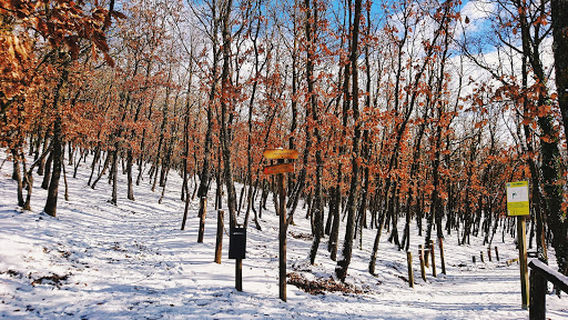 Parco Elisa Claps