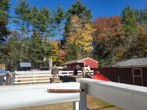 Friendly Beaver Campground