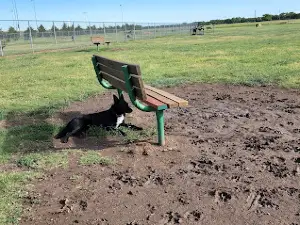 Hays Dog Park