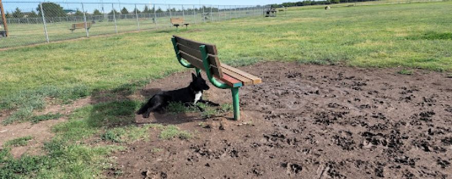 Hays Dog Park