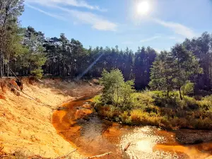 Meanders on Kocinka