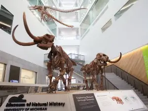 University of Michigan Museum of Natural History