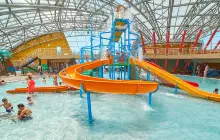 Gino Paradise Tbilisi