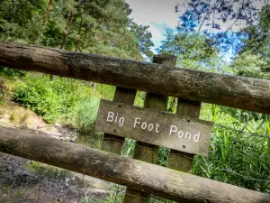 Irchester Country Park