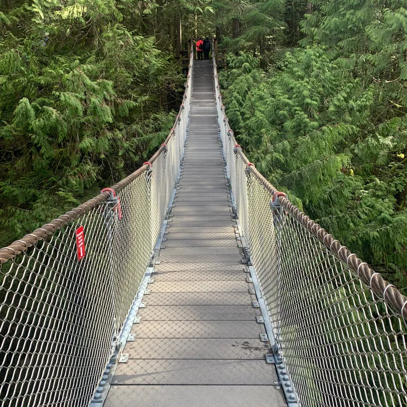 5_Lynn Canyon Suspension Bridge