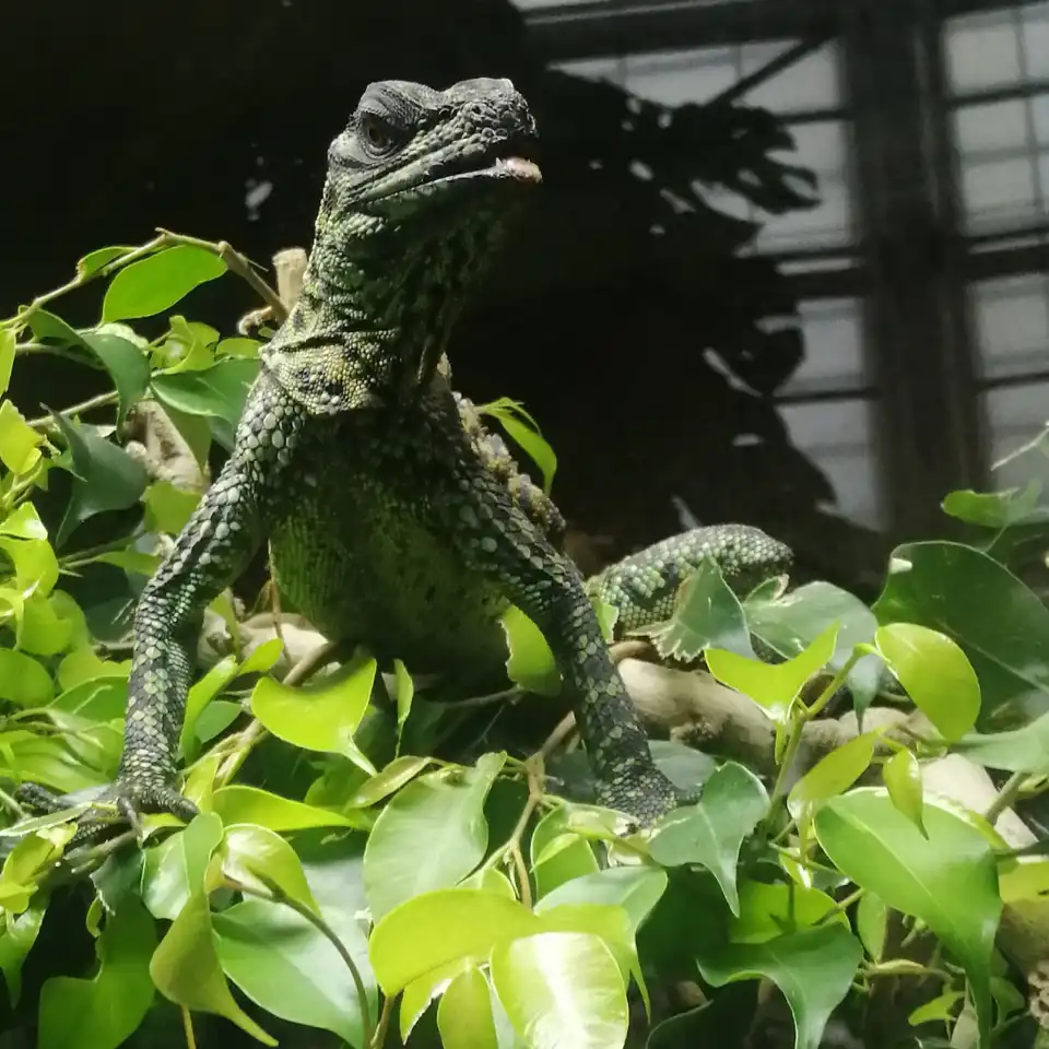 5_Planet Exotica