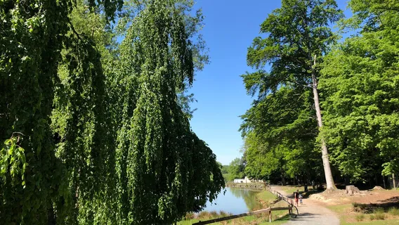 Wildlife park "Tiergarten Weilburg"