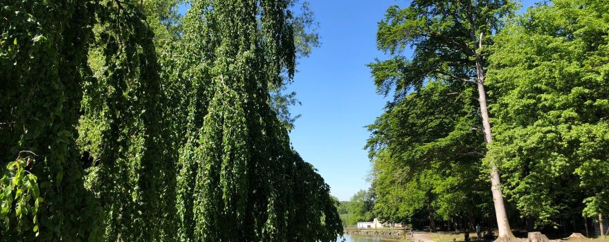 Wildlife park "Tiergarten Weilburg"