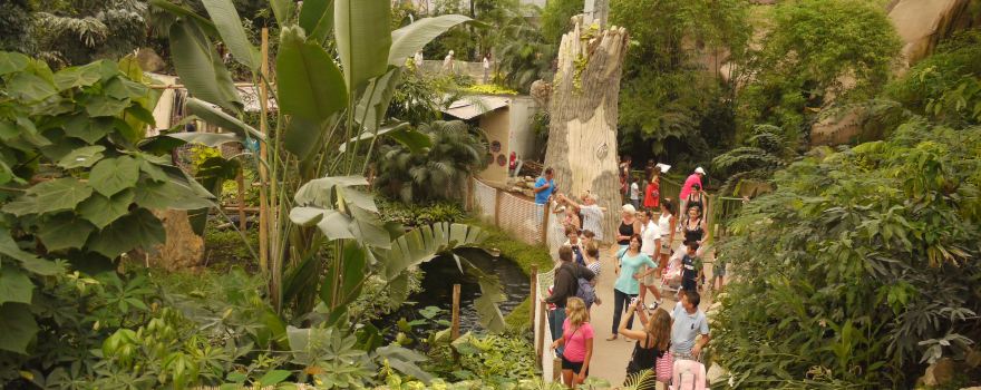 Biotropica, les jardins animaliers
