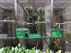 Papousci Zoo