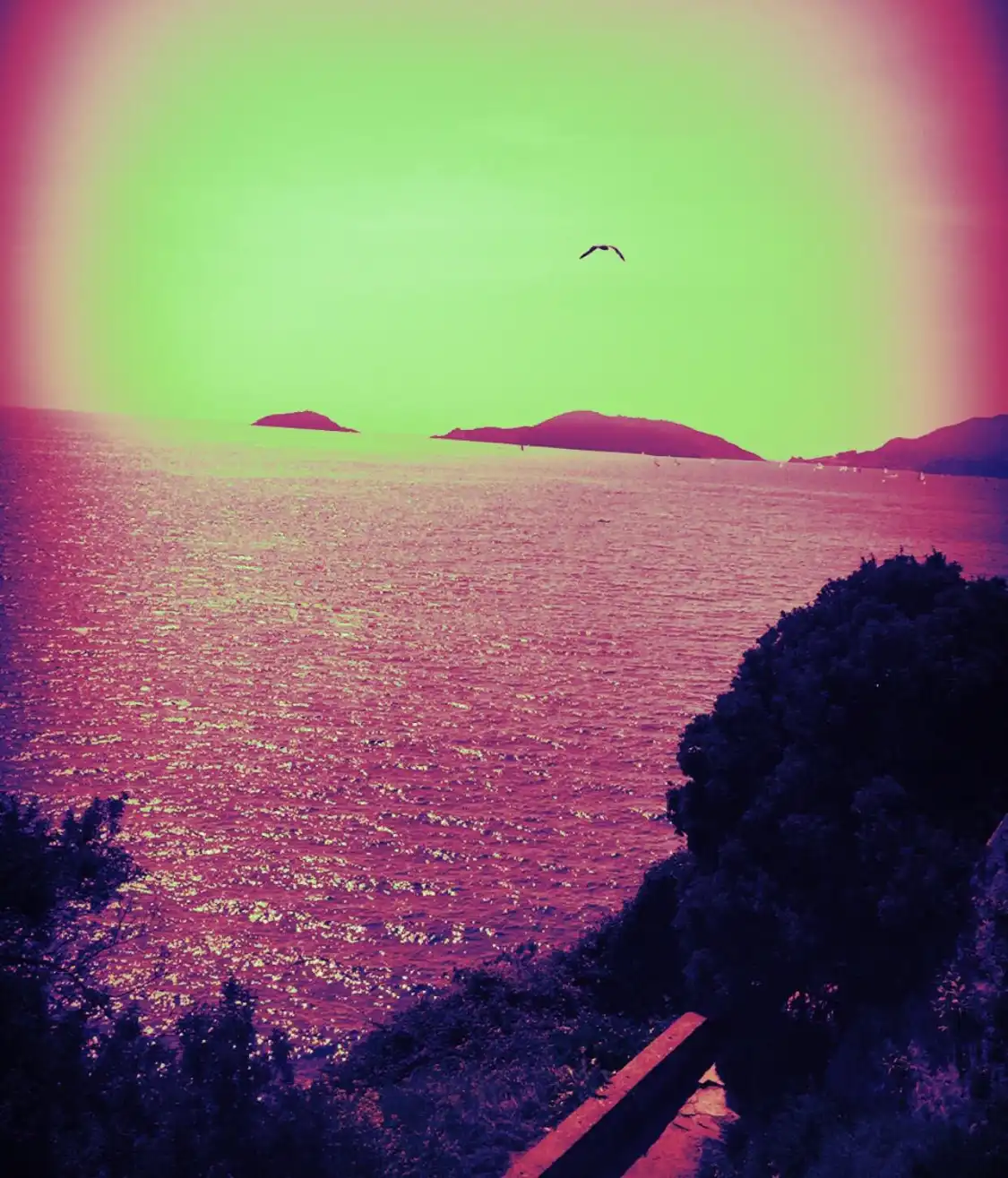 Hotels near Castello di Lerici