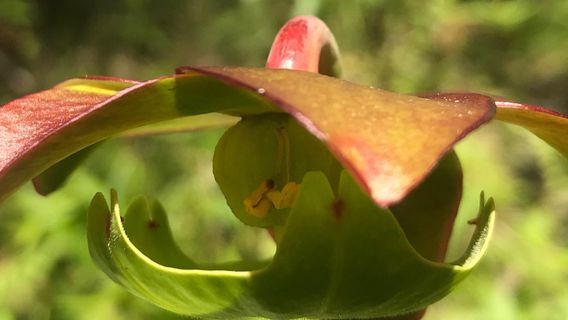Lake Bemidji State Park