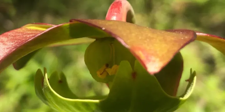 Lake Bemidji State Park
