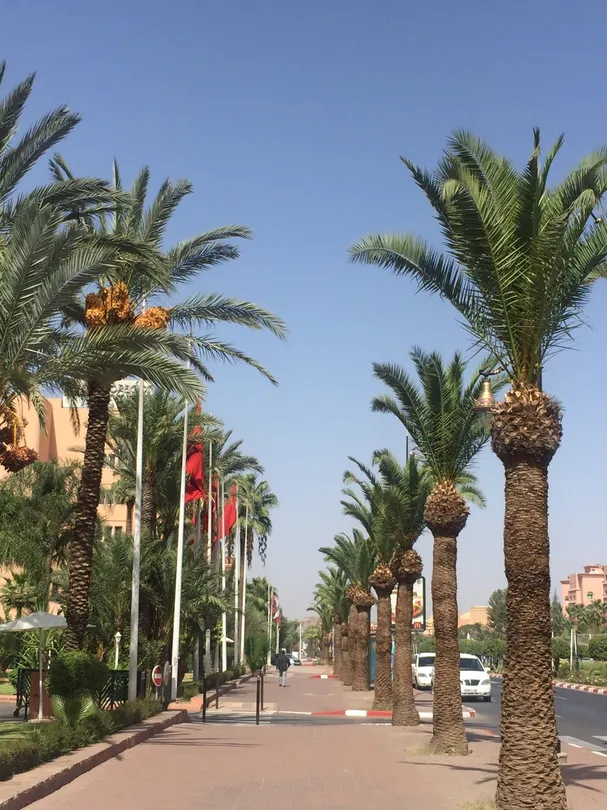 5_Le Palais de Congres