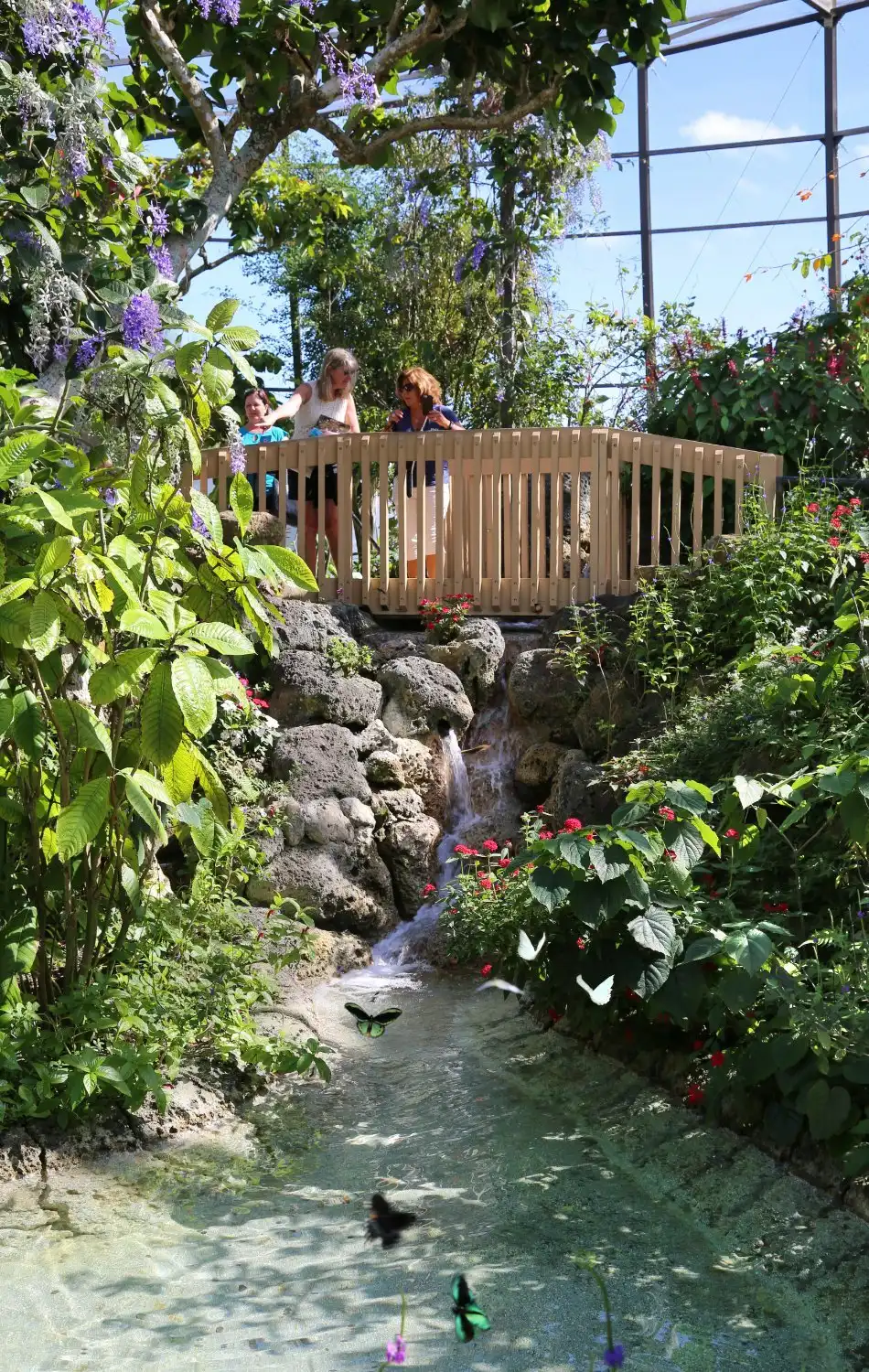 Hotels near Butterfly World