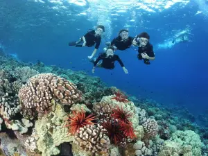 Alii Nui Sailing Charters
