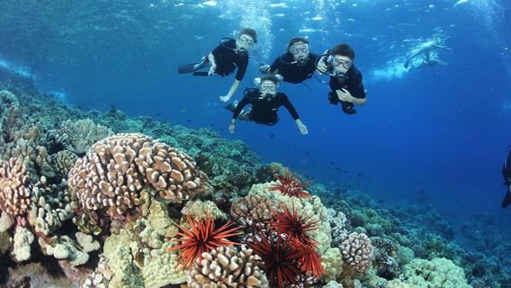 Alii Nui Sailing Charters